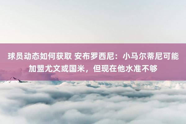 球员动态如何获取 安布罗西尼：小马尔蒂尼可能加盟尤文或国米，但现在他水准不够