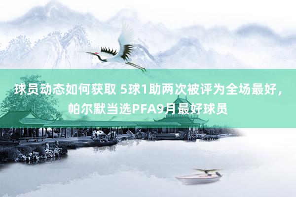 球员动态如何获取 5球1助两次被评为全场最好，帕尔默当选PFA9月最好球员