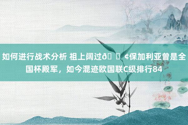 如何进行战术分析 祖上阔过😢保加利亚曾是全国杯殿军，如今混迹欧国联C级排行84