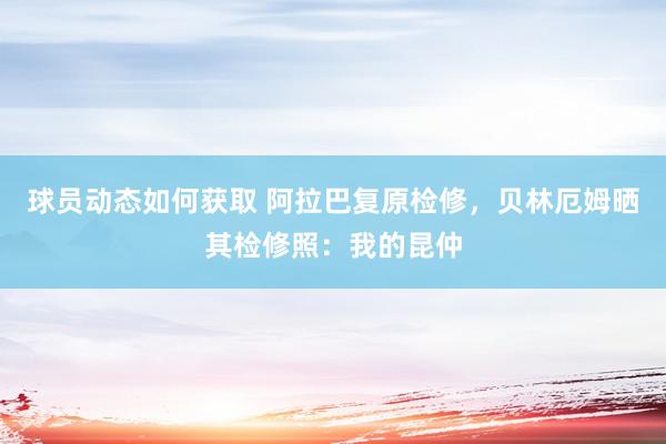 球员动态如何获取 阿拉巴复原检修，贝林厄姆晒其检修照：我的昆仲