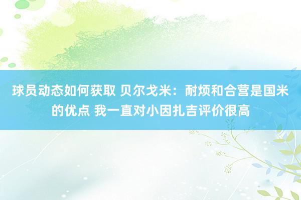 球员动态如何获取 贝尔戈米：耐烦和合营是国米的优点 我一直对小因扎吉评价很高