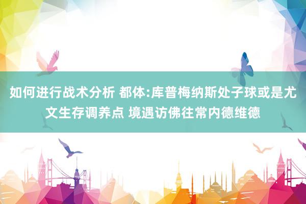 如何进行战术分析 都体:库普梅纳斯处子球或是尤文生存调养点 境遇访佛往常内德维德