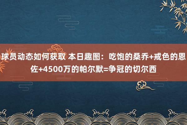 球员动态如何获取 本日趣图：吃饱的桑乔+戒色的恩佐+4500万的帕尔默=争冠的切尔西