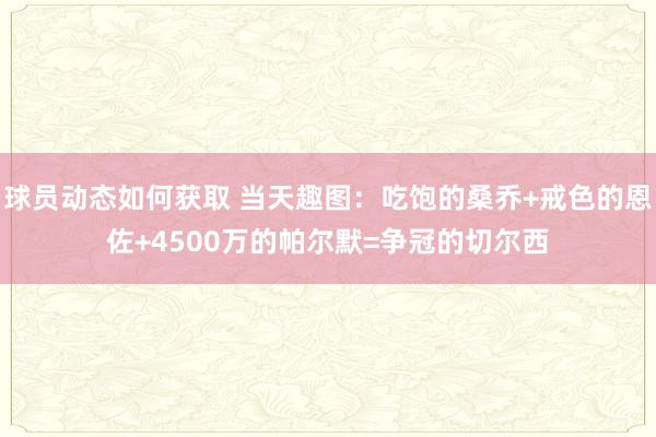 球员动态如何获取 当天趣图：吃饱的桑乔+戒色的恩佐+4500万的帕尔默=争冠的切尔西