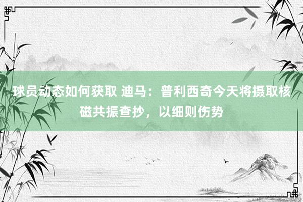 球员动态如何获取 迪马：普利西奇今天将摄取核磁共振查抄，以细则伤势