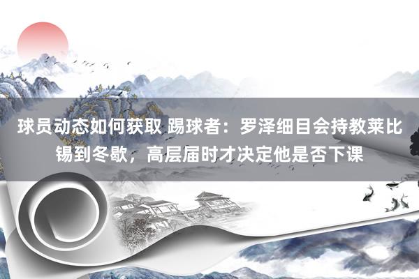 球员动态如何获取 踢球者：罗泽细目会持教莱比锡到冬歇，高层届时才决定他是否下课