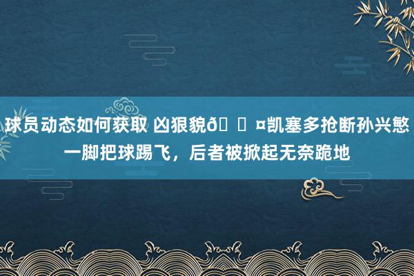 球员动态如何获取 凶狠貌😤凯塞多抢断孙兴慜一脚把球踢飞，后者被掀起无奈跪地