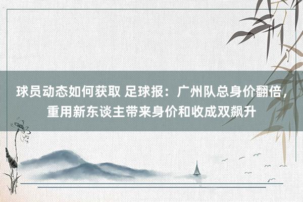 球员动态如何获取 足球报：广州队总身价翻倍，重用新东谈主带来身价和收成双飙升