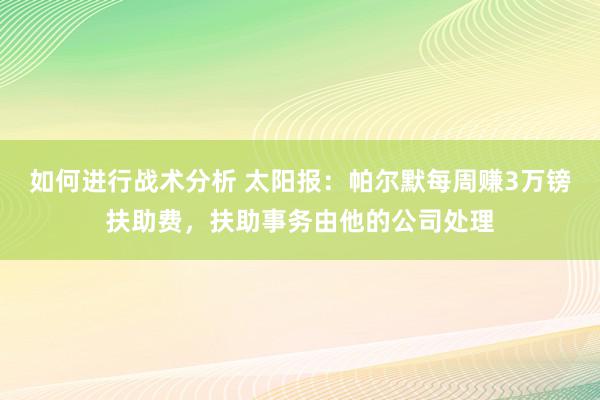 如何进行战术分析 太阳报：帕尔默每周赚3万镑扶助费，扶助事务由他的公司处理