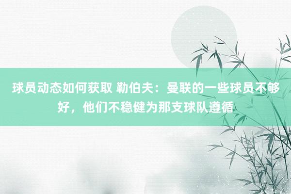 球员动态如何获取 勒伯夫：曼联的一些球员不够好，他们不稳健为那支球队遵循