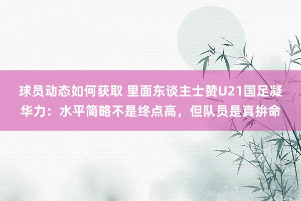 球员动态如何获取 里面东谈主士赞U21国足凝华力：水平简略不是终点高，但队员是真拚命