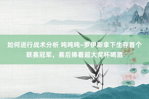 如何进行战术分析 吨吨吨~罗伊斯拿下生存首个联赛冠军，赛后捧着超大奖杯喝酒