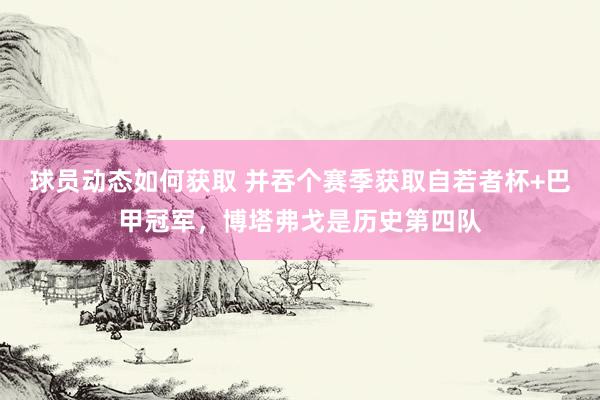 球员动态如何获取 并吞个赛季获取自若者杯+巴甲冠军，博塔弗戈是历史第四队