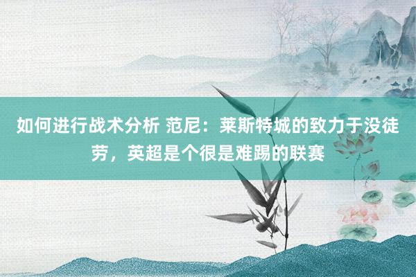 如何进行战术分析 范尼：莱斯特城的致力于没徒劳，英超是个很是难踢的联赛