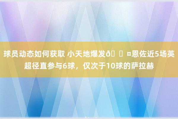 球员动态如何获取 小天地爆发😤恩佐近5场英超径直参与6球，仅次于10球的萨拉赫