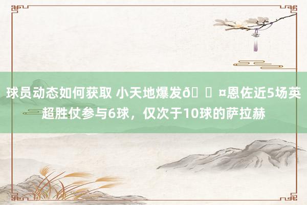 球员动态如何获取 小天地爆发😤恩佐近5场英超胜仗参与6球，仅次于10球的萨拉赫