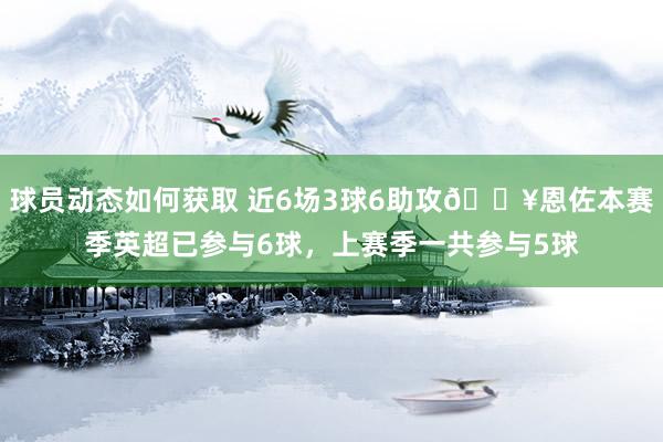 球员动态如何获取 近6场3球6助攻🔥恩佐本赛季英超已参与6球，上赛季一共参与5球