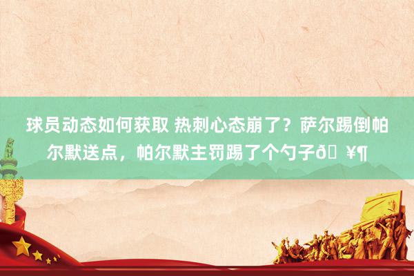 球员动态如何获取 热刺心态崩了？萨尔踢倒帕尔默送点，帕尔默主罚踢了个勺子🥶