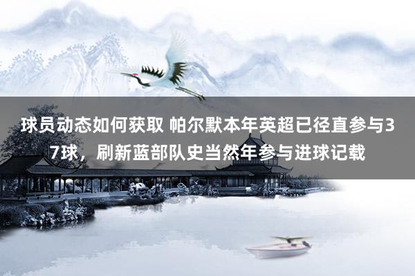 球员动态如何获取 帕尔默本年英超已径直参与37球，刷新蓝部队史当然年参与进球记载