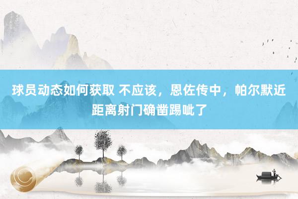 球员动态如何获取 不应该，恩佐传中，帕尔默近距离射门确凿踢呲了