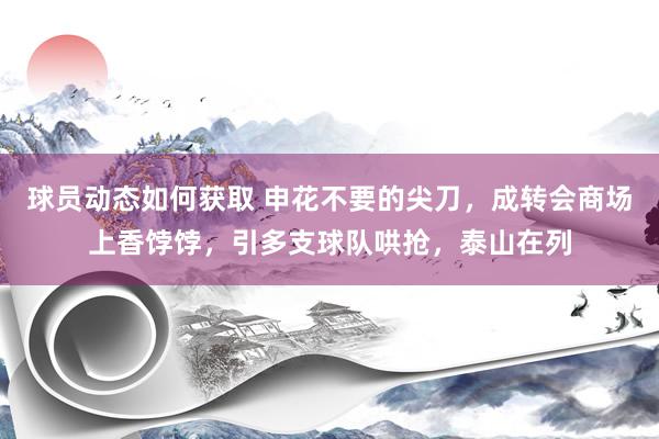 球员动态如何获取 申花不要的尖刀，成转会商场上香饽饽，引多支球队哄抢，泰山在列