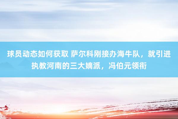 球员动态如何获取 萨尔科刚接办海牛队，就引进执教河南的三大嫡派，冯伯元领衔